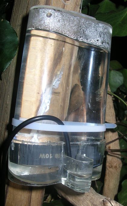 DSCN6032.JPG
