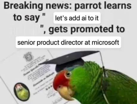 1160193_IMG_5600.jpeg