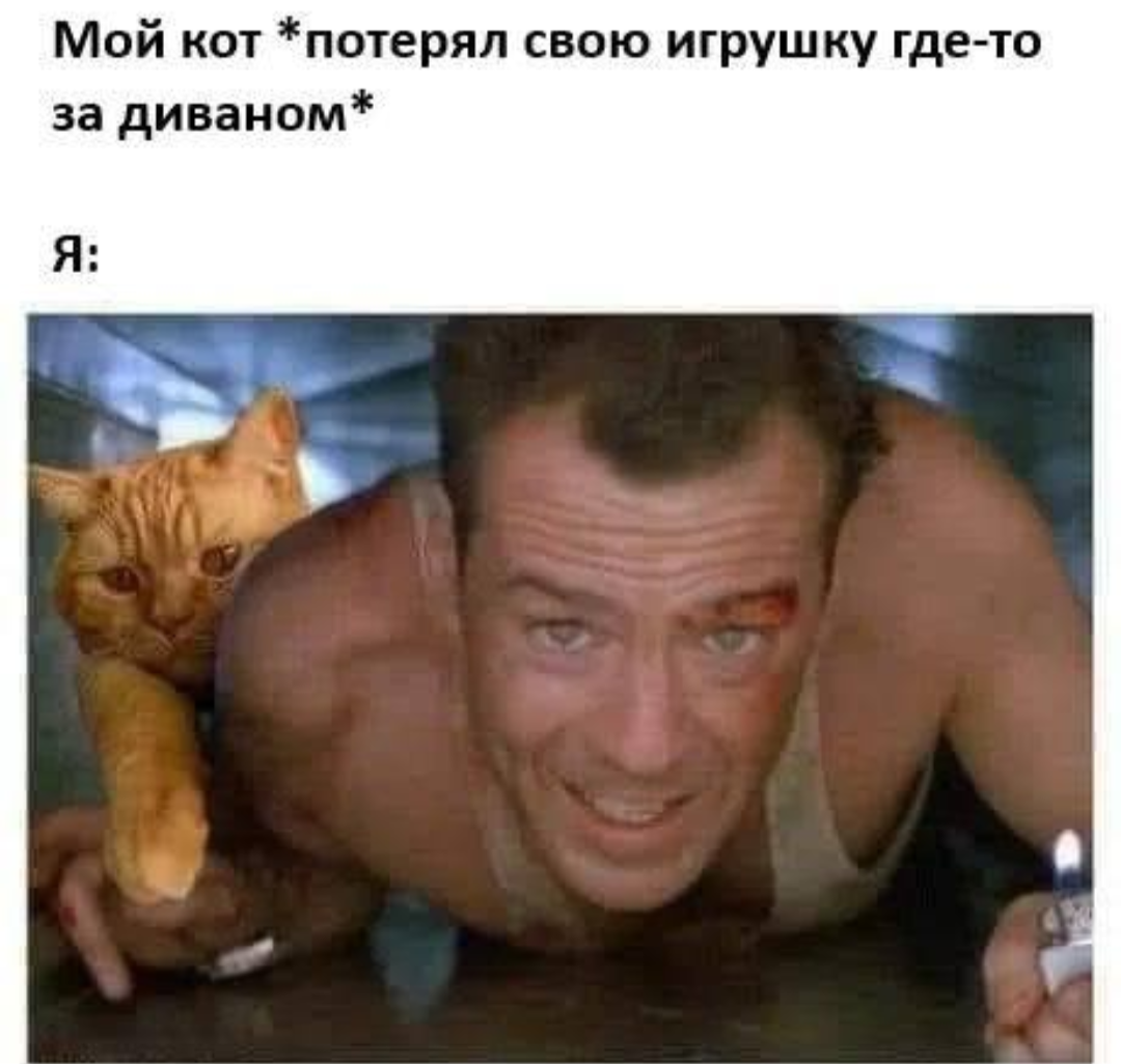 Screenshot_20260203-201647.png