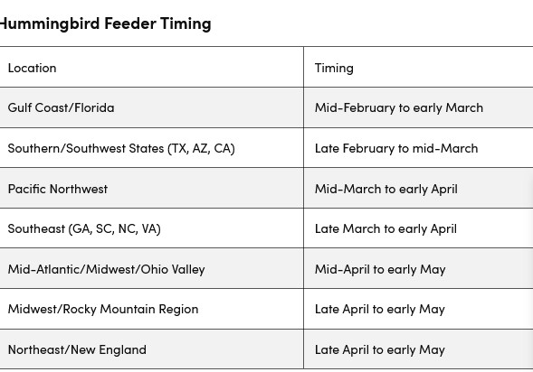 Screenshot 2026-02-08 at 09-07-57 Ornithologists Share the Ideal Time to Hang a Hummingbird Feeder—Based on Where You Live.jpg