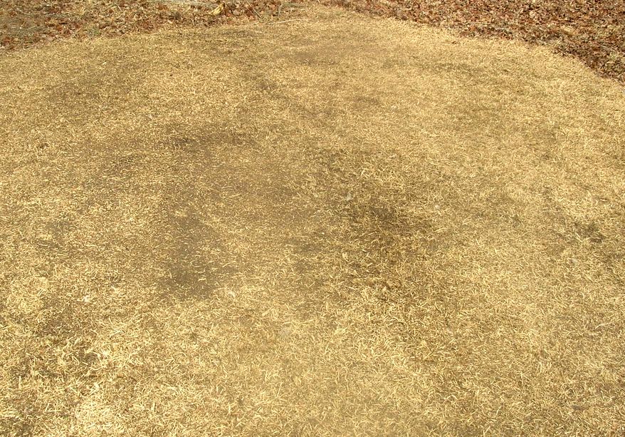 DSCN6111.JPG