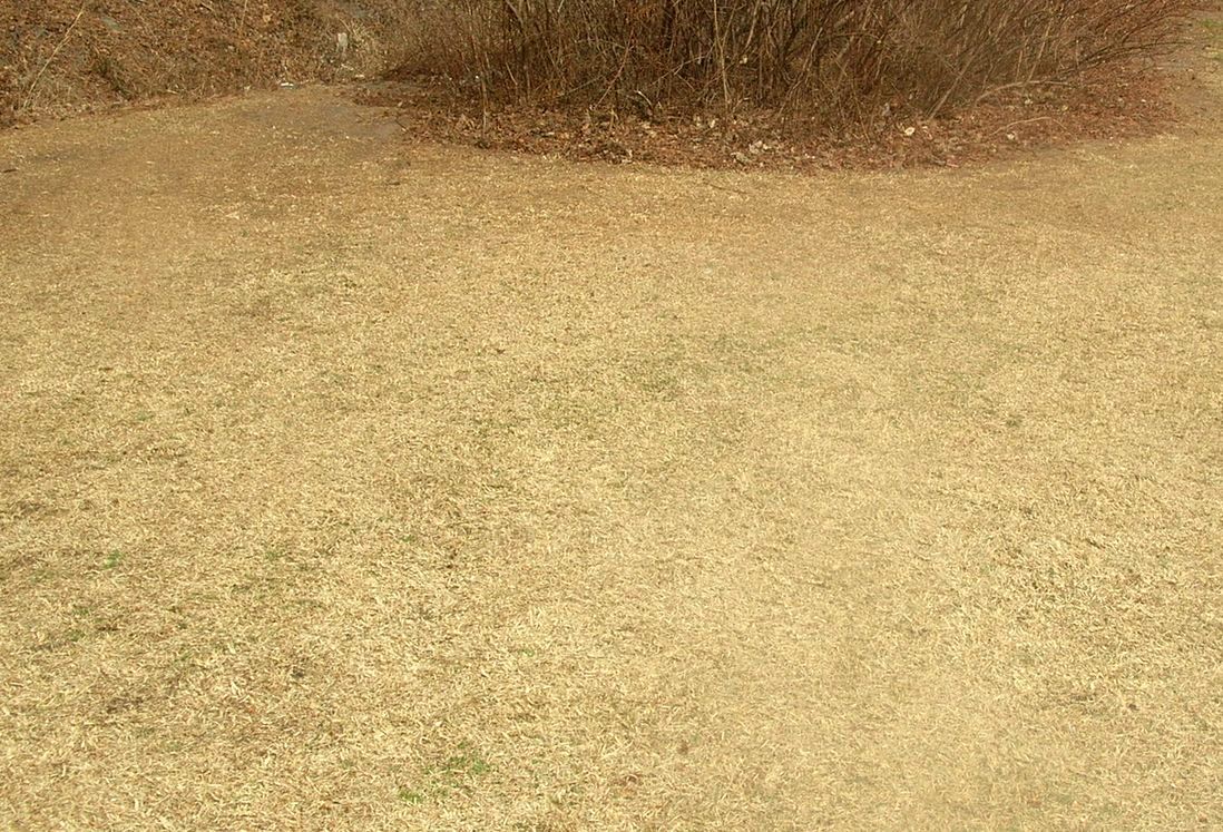 DSCN6113.JPG