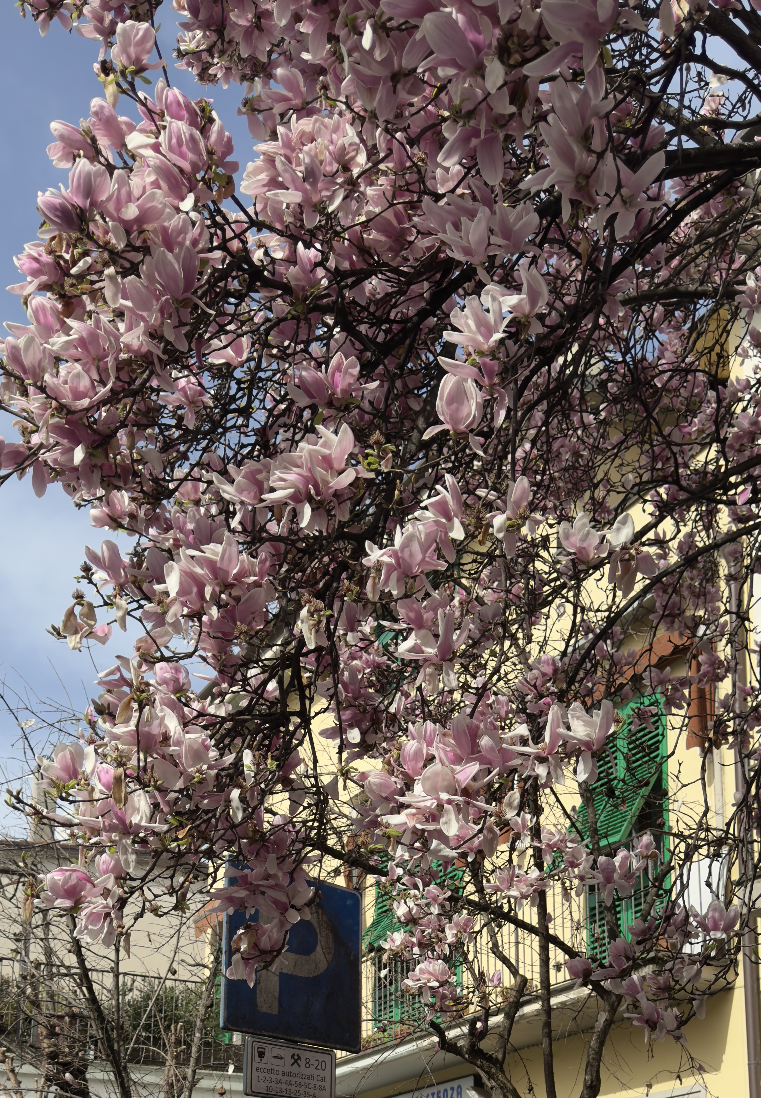 IMG_6488.jpeg