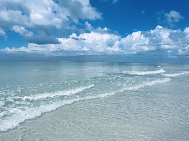IMG_9117.jpeg