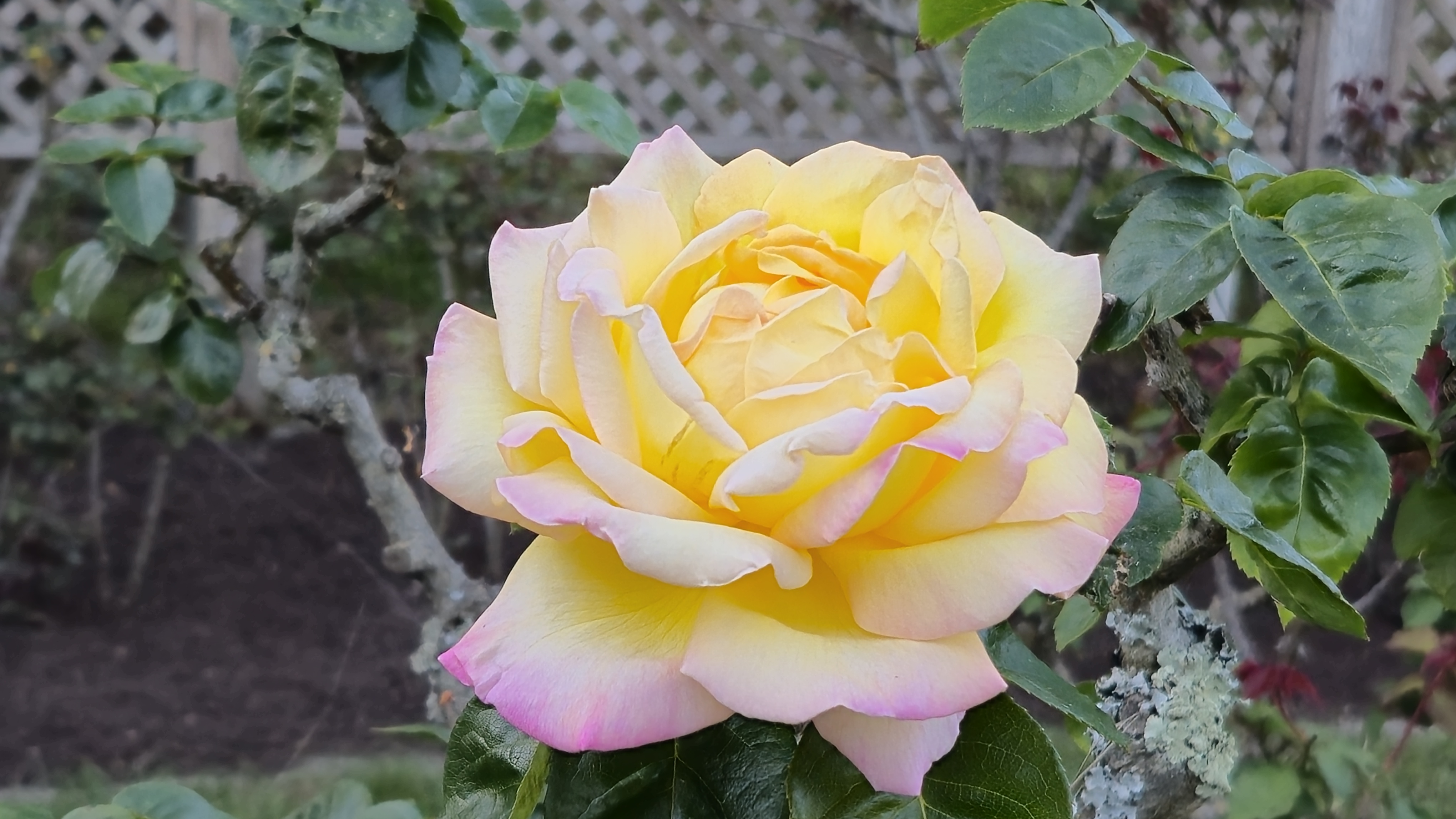 20260315_175617.jpg