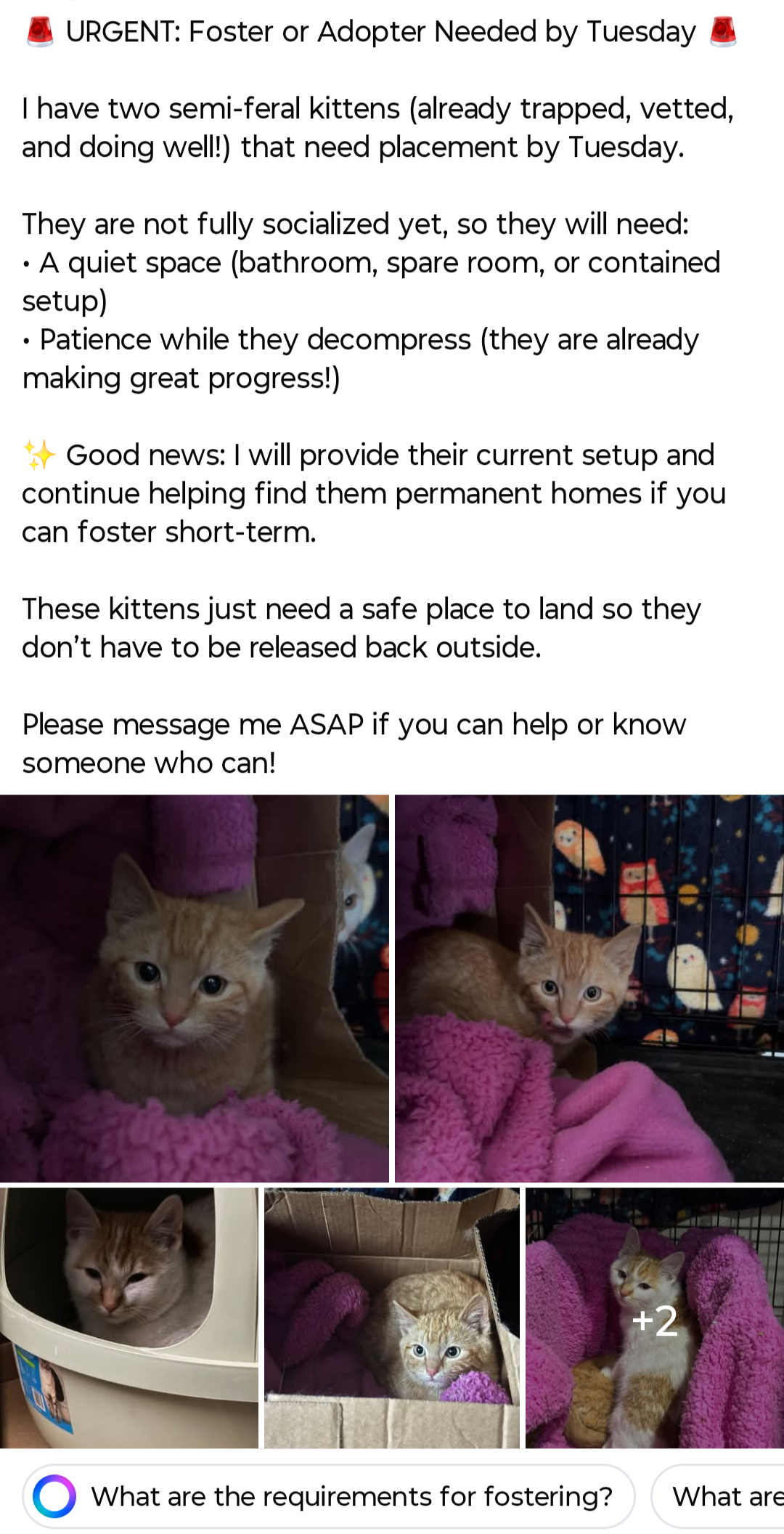 Screenshot_20260328-231332.Facebook.png