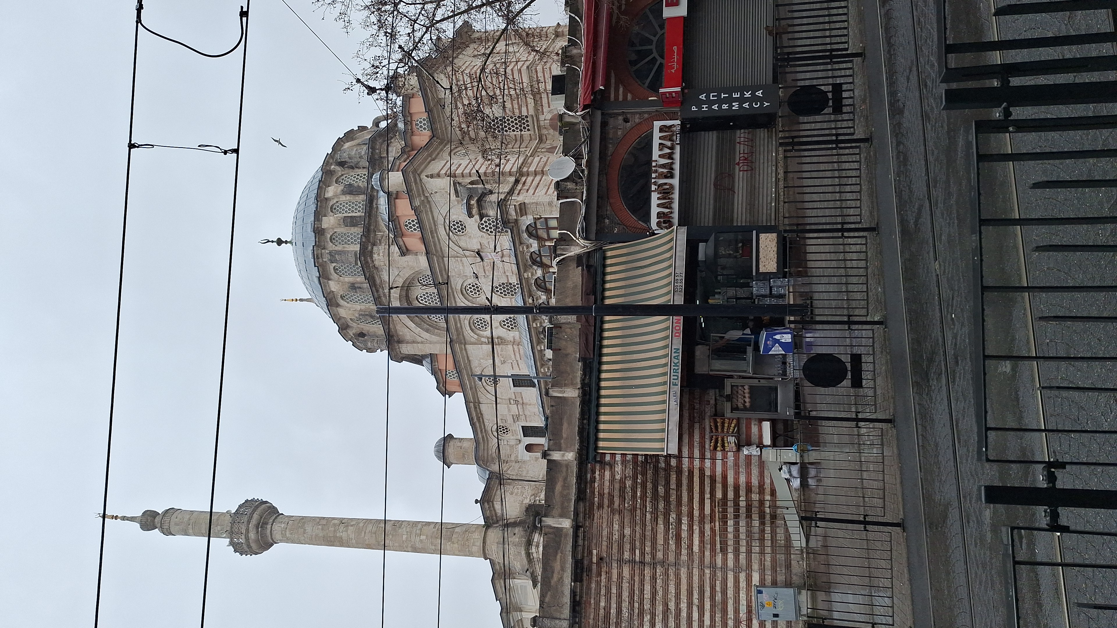 IMG-20260329-WA0017.jpeg