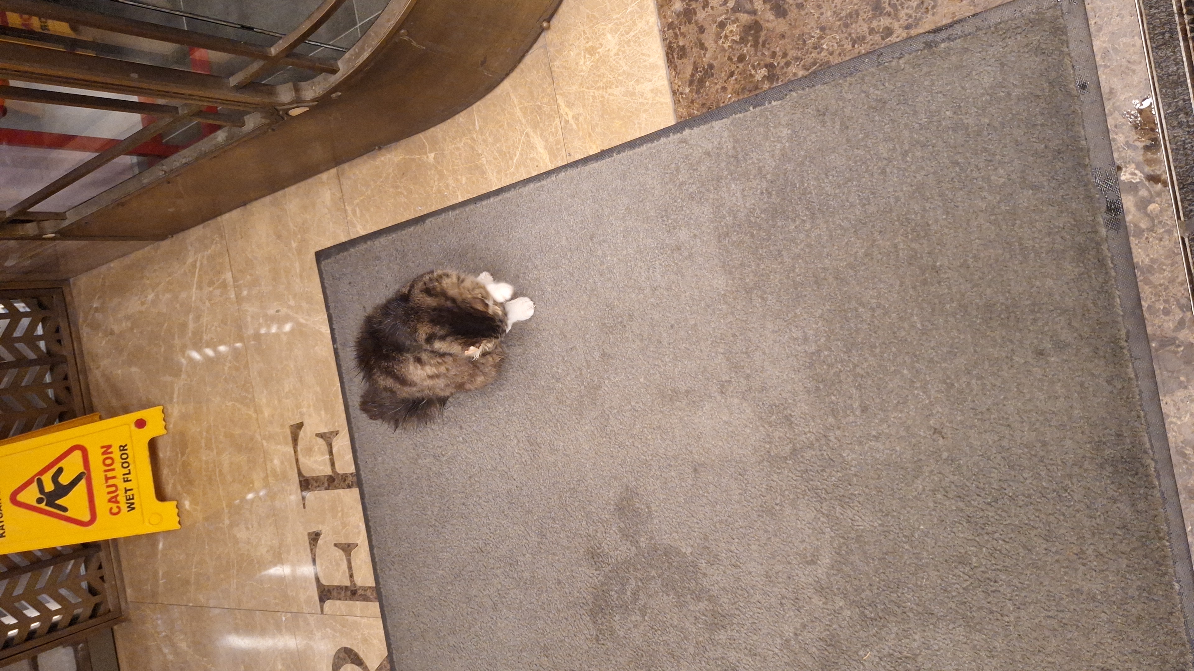 IMG-20260329-WA0010.jpeg