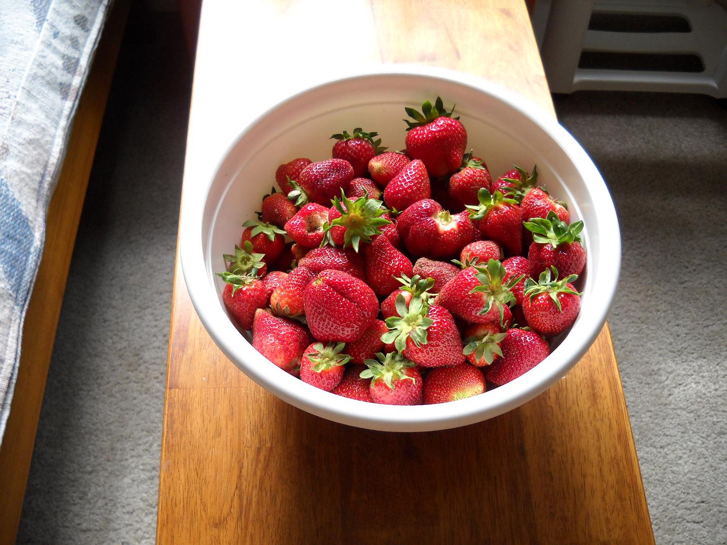 Strawberryes-04-17-12-1.jpg