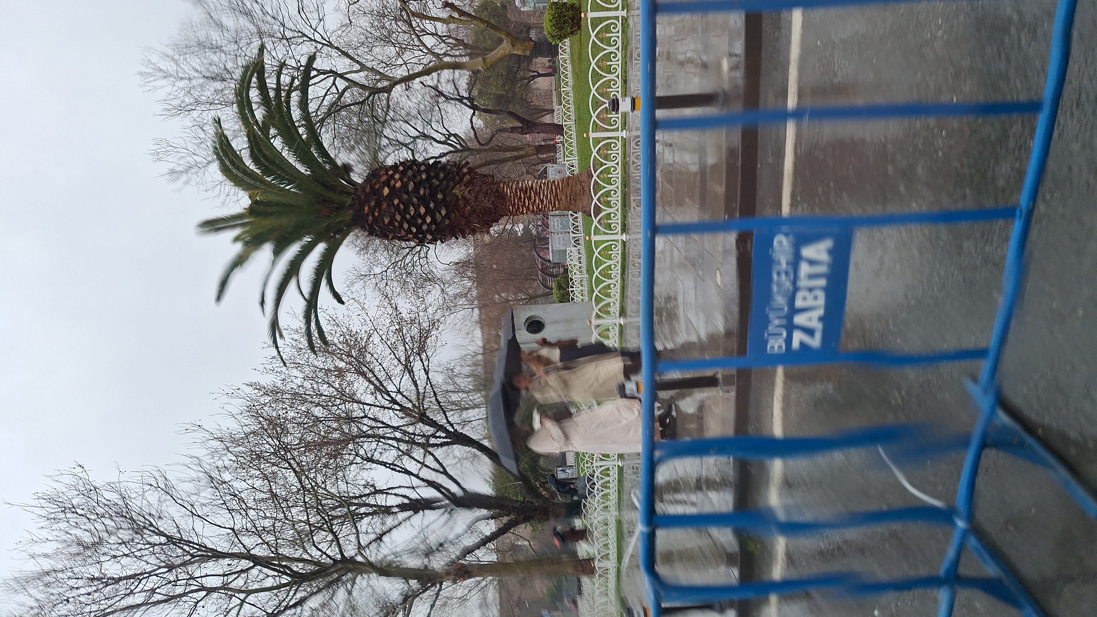 IMG-20260330-WA0011.jpeg