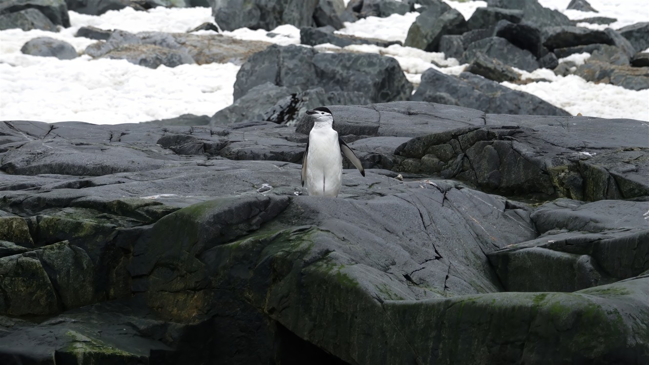 6_9_DSC01409-2-t_SpertIsland.jpg