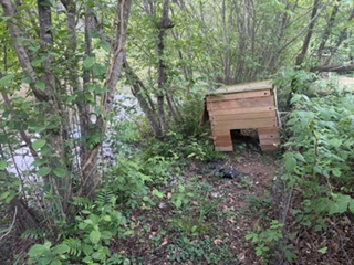 IMG_1647.jpeg