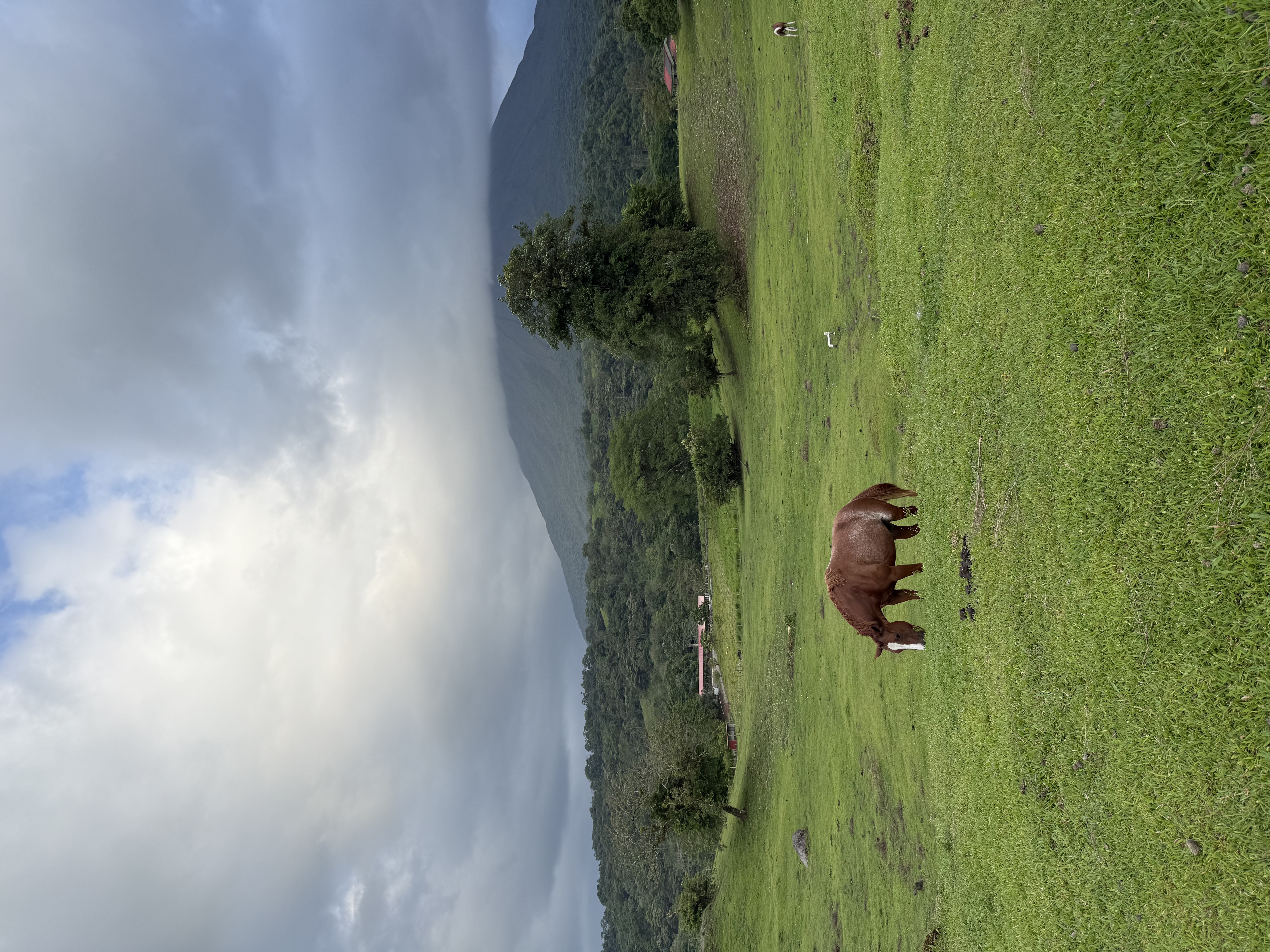 IMG_3282.jpeg
