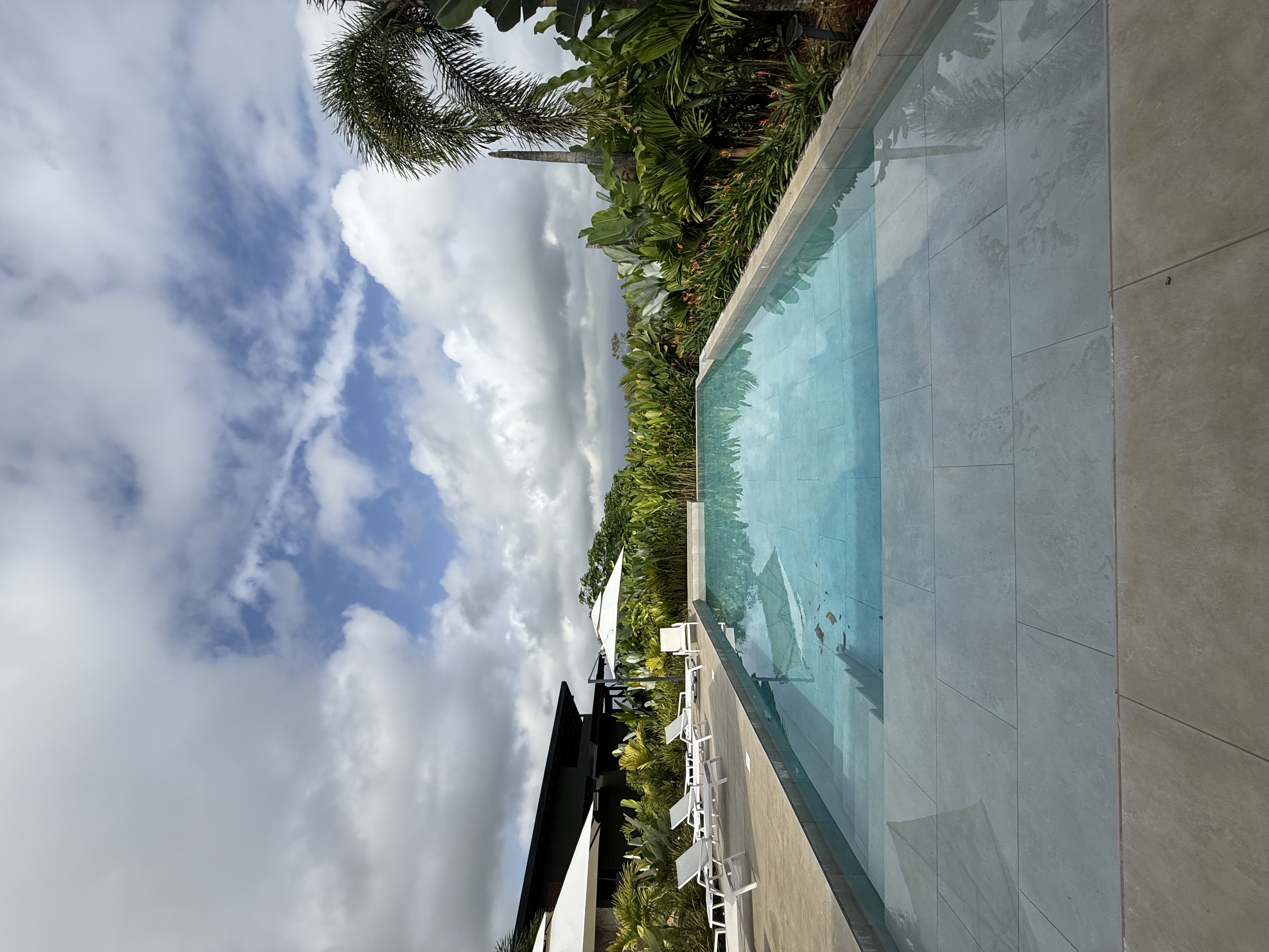 IMG_3139.jpeg