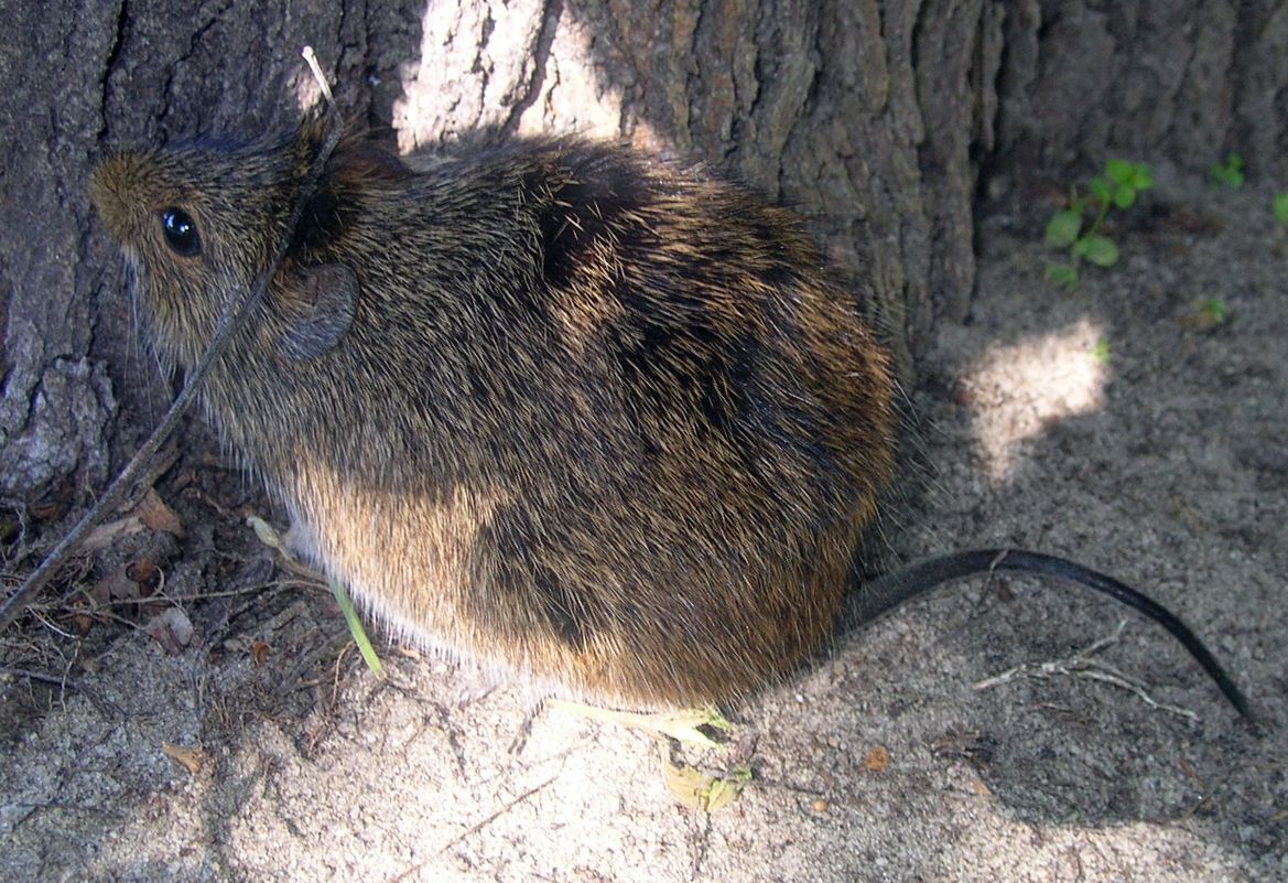 DSCN6304.JPG