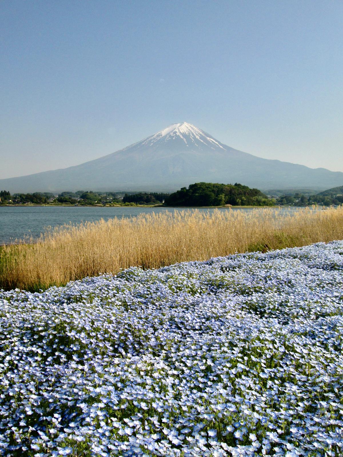 IMG-20260518-WA0002.jpg