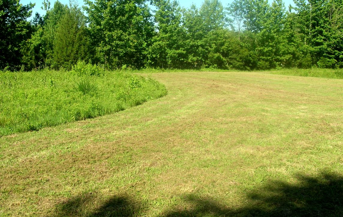 DSCN6329.JPG