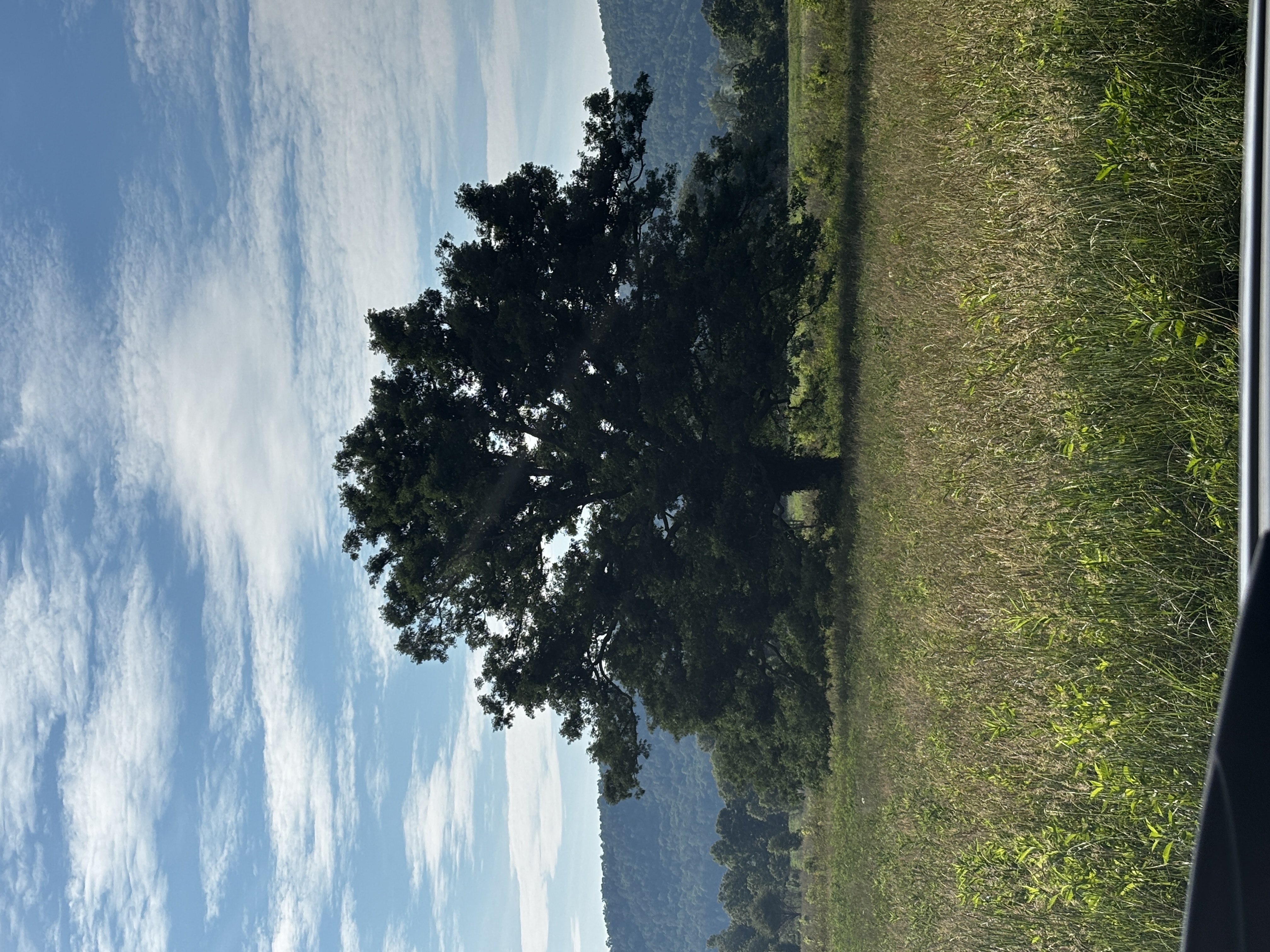 IMG_5683.jpeg