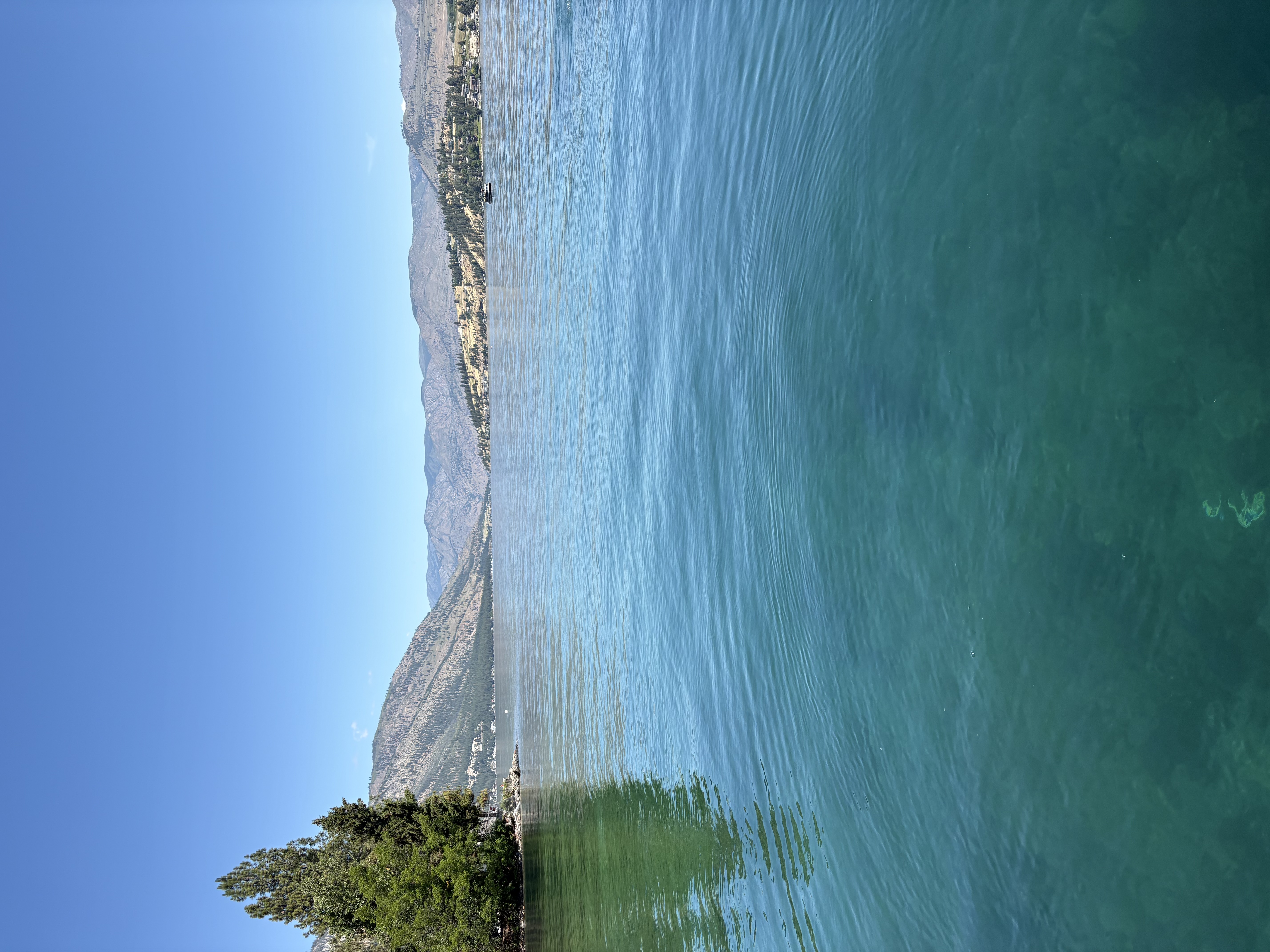 IMG_8170.jpeg