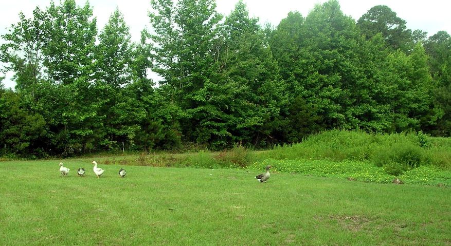 DSCN6395.JPG