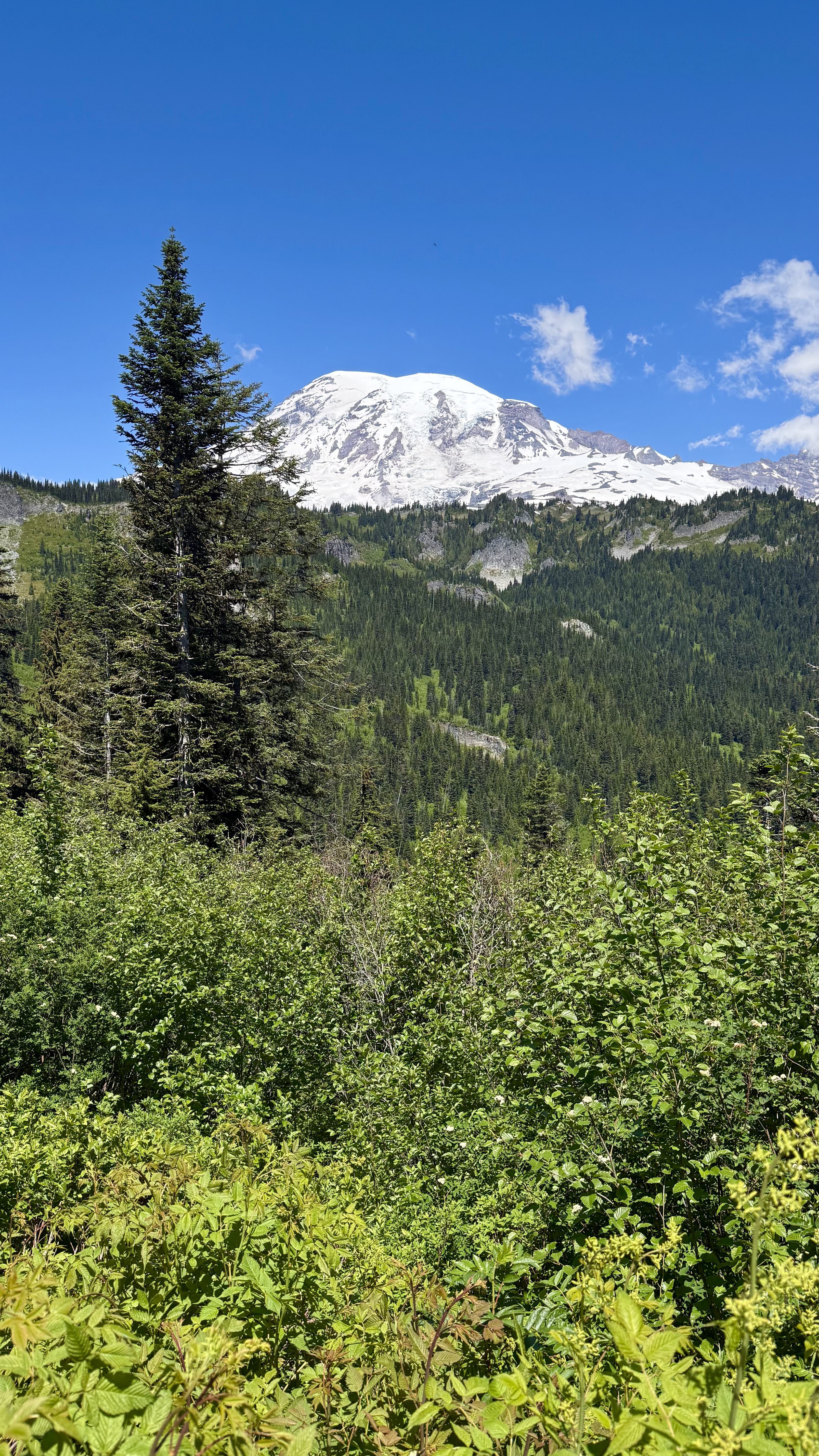 IMG_4490.jpeg