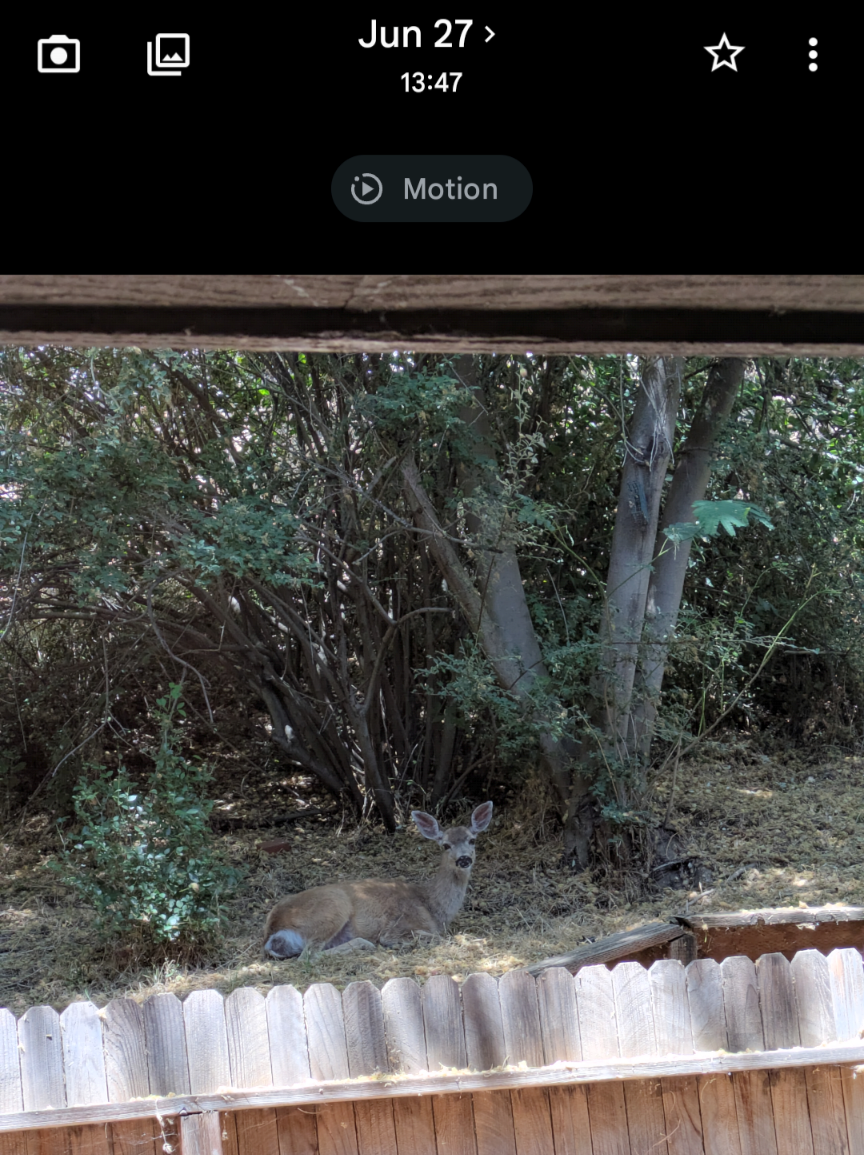 Screenshot_20260627-134746.png