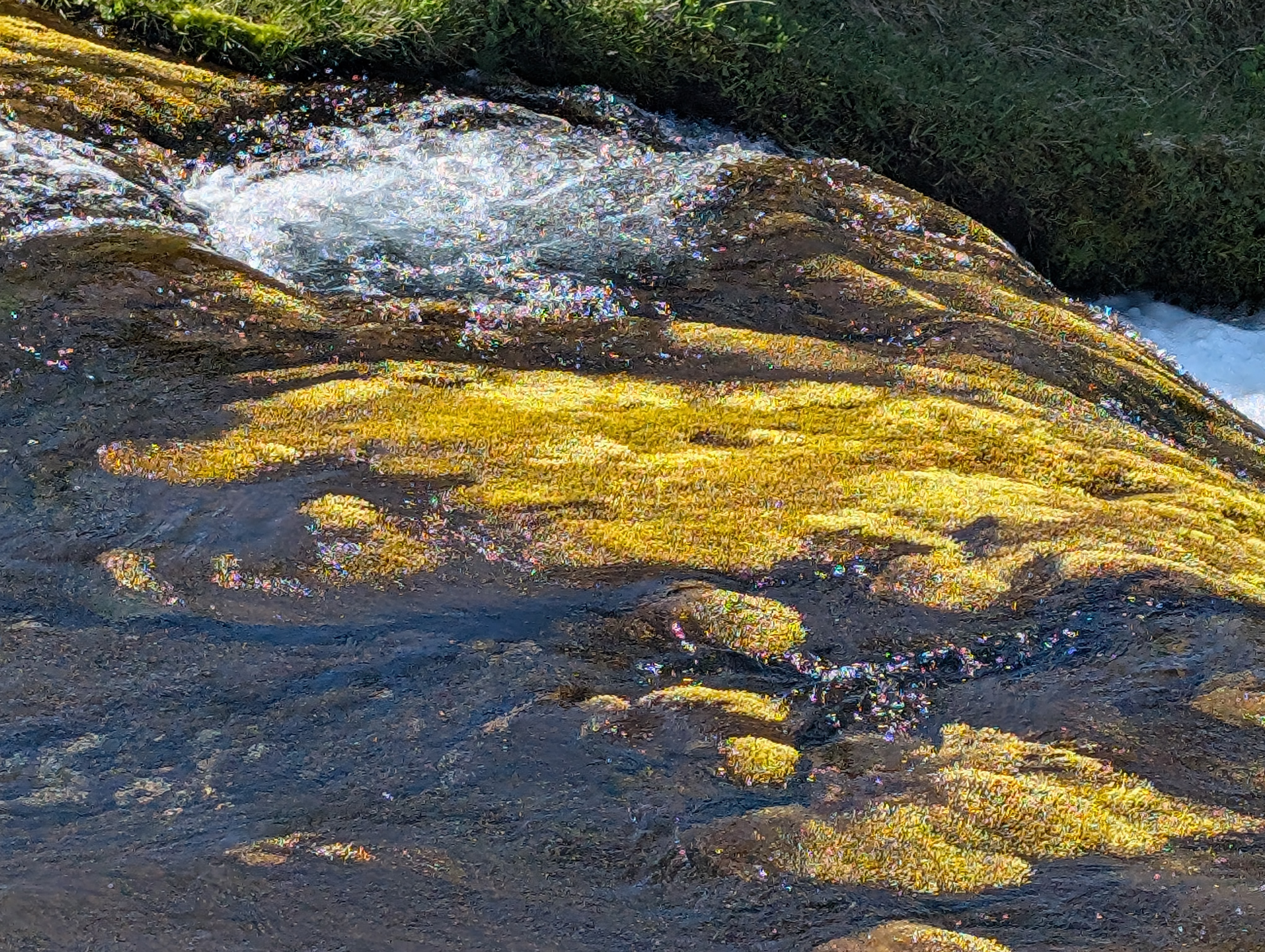 PXL_20260617_113143660.jpg