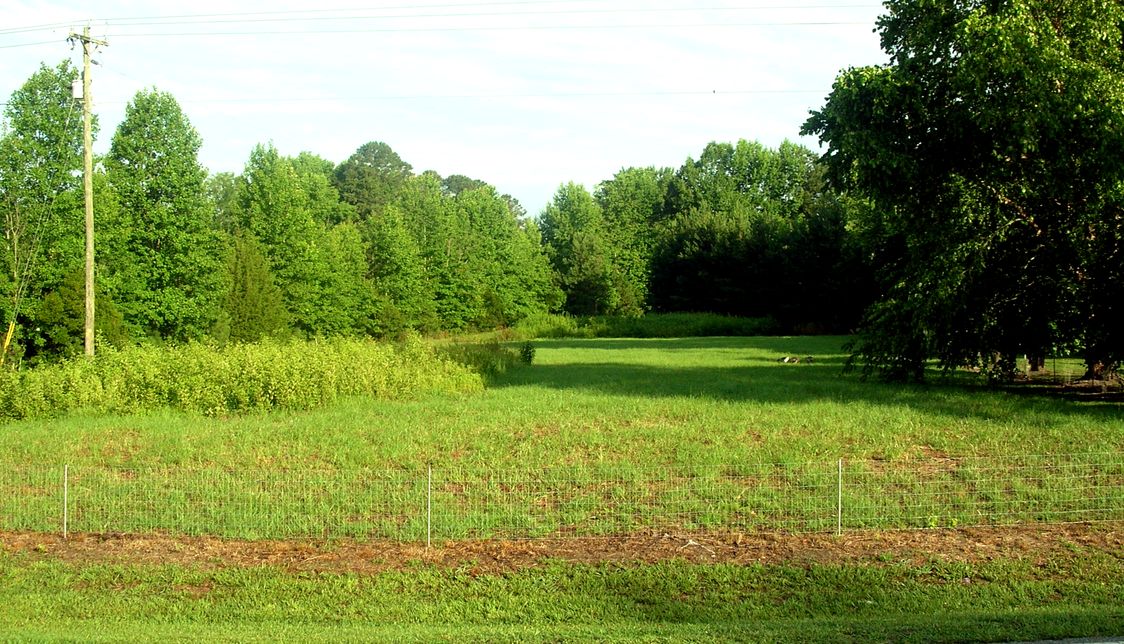 DSCN6440.JPG