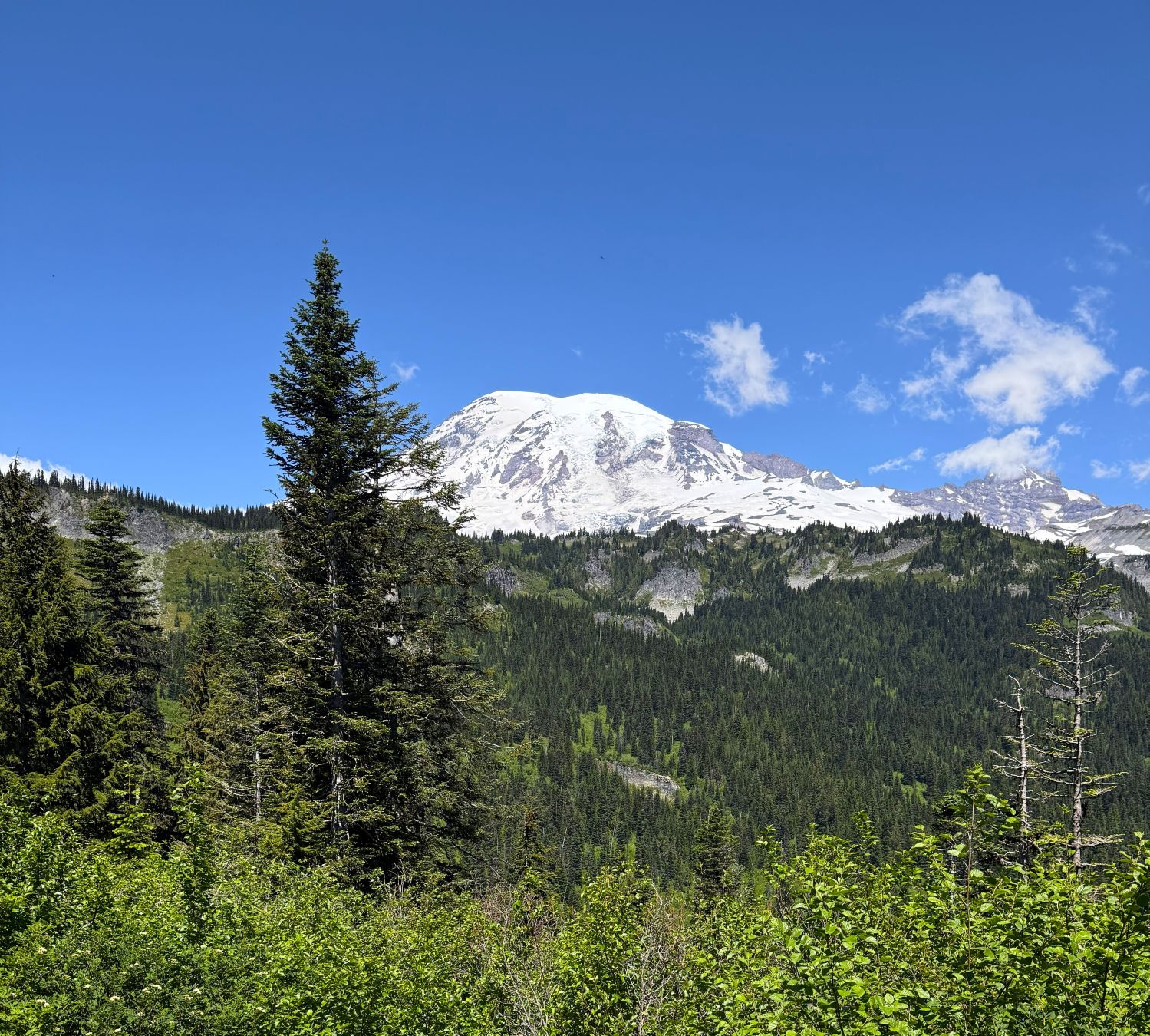 IMG_1004.jpg