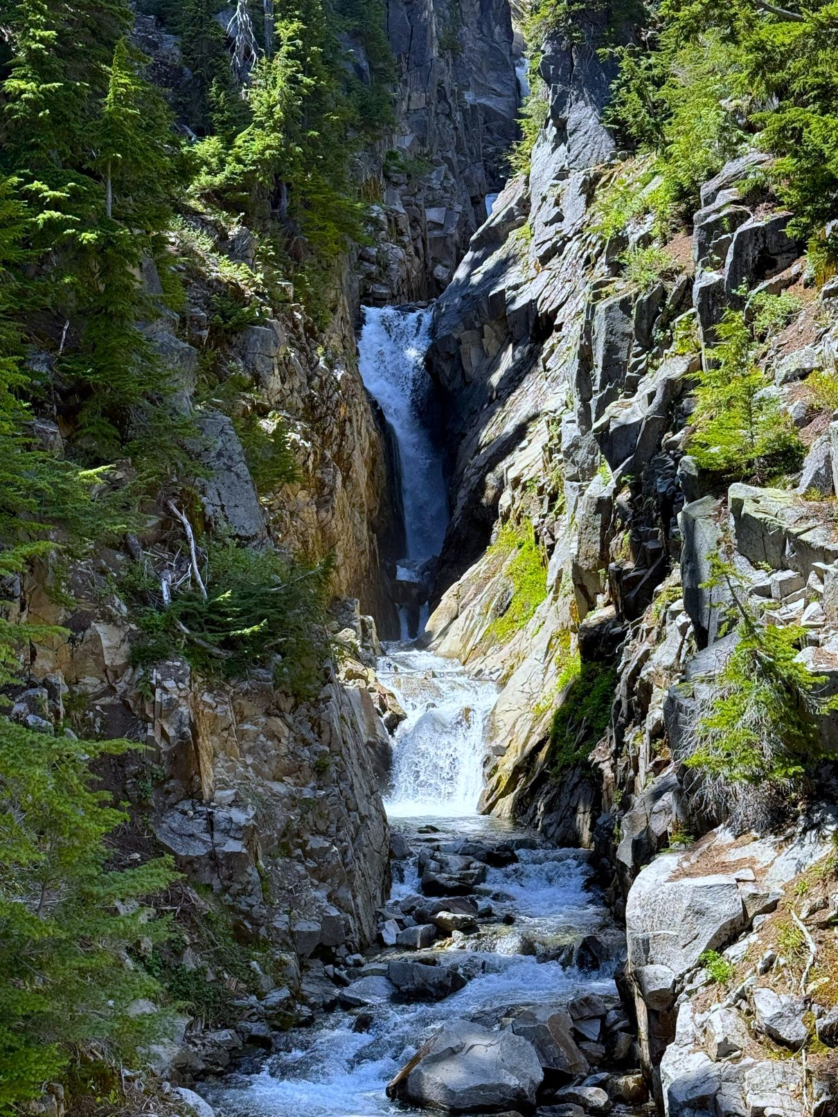 IMG_2001.jpg