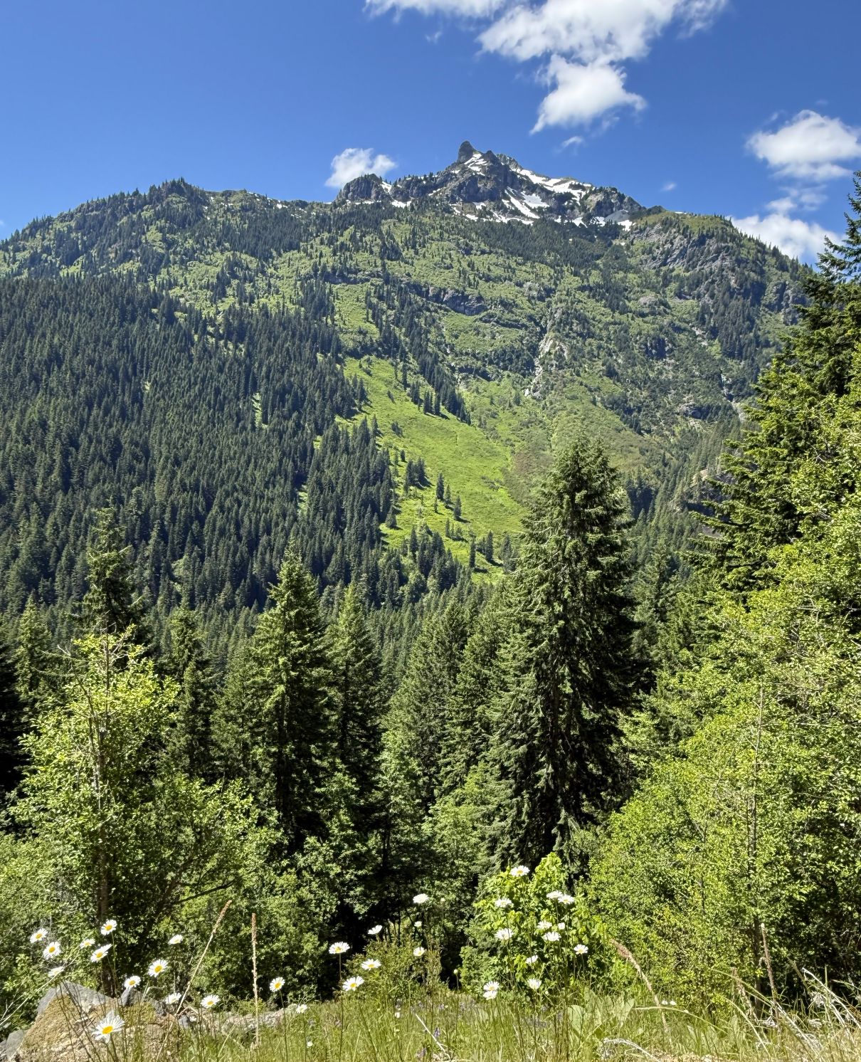 IMG_3000.jpg