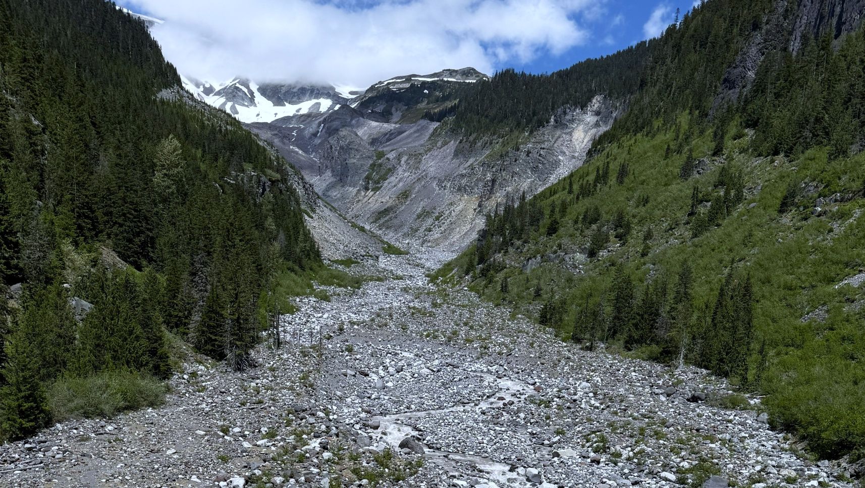 IMG_3004.jpg