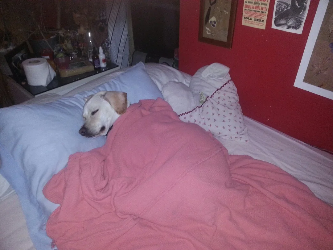 how-i-sleep-at-night-knowing-people-here-will-find-a-better-v0-J7uiKGN5LIhHMjW-BiR9Q-FH6euBnIvJViYFfu1HqNc.webp