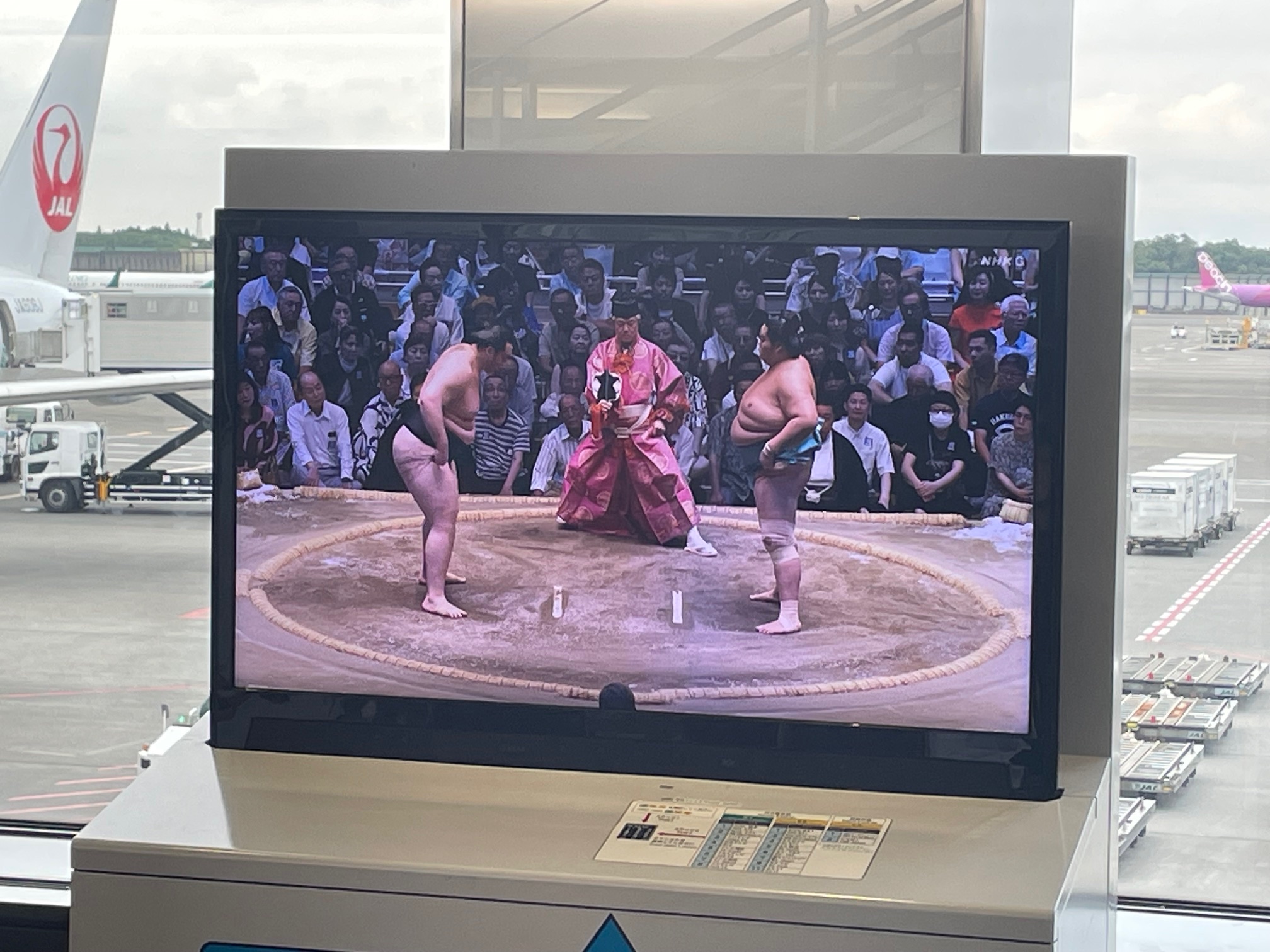sumo.jpeg